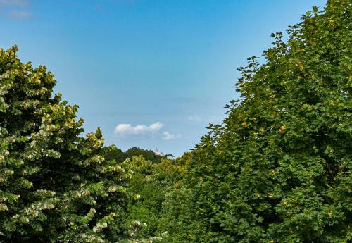 a group of trees with a blue sky in the background at B&B HOTEL AVRANCHES Baie du Mont St-Michel in Le Val-Saint-Père