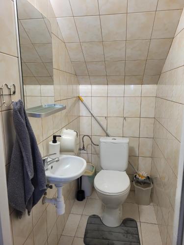 a small bathroom with a toilet and a sink at Willa pod Babkami in Tylicz
