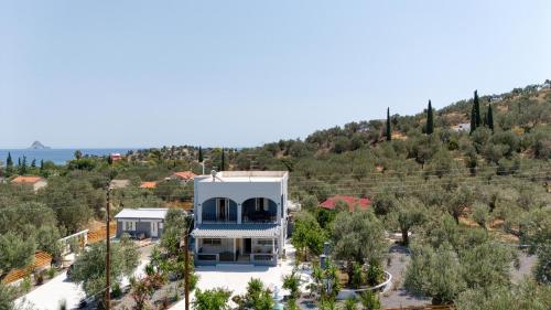 an aerial view of a house in a vineyard at Poetree Echo by Green Poetree Houses in Galatas