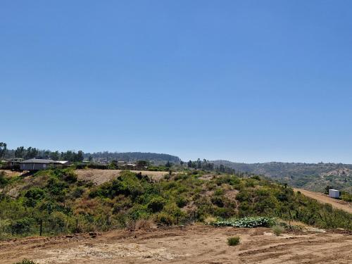 a dirt hill with a house on top of it at Entre Quebradas y Loicas in Algarrobo