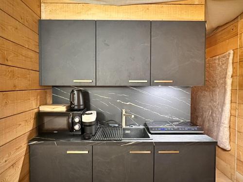 a kitchen with black cabinets and a sink at Le Viking in Besançon