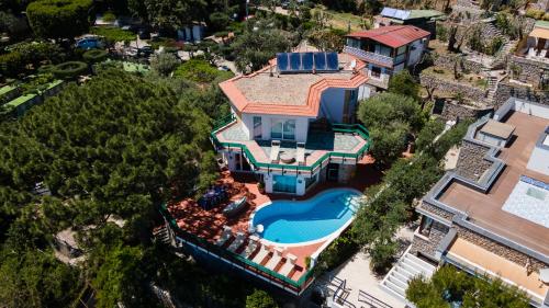 Πισίνα στο ή κοντά στο Villa Felicita