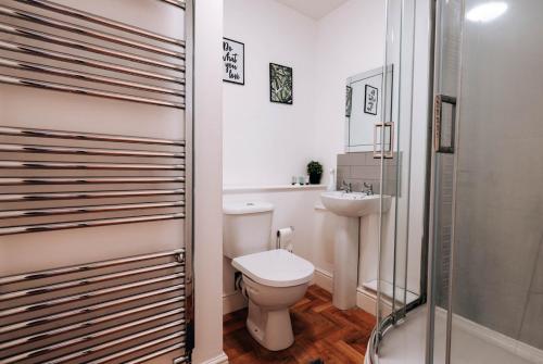 a bathroom with a toilet and a sink and a shower at Prosper House Apartment 3 in Norwich