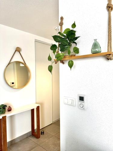 un miroir sur un mur à côté d'une porte avec une plante dans l'établissement Chez Marie, à Entzheim