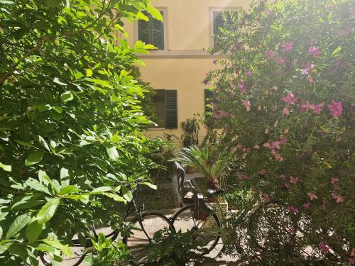 Home Rome Borsieri