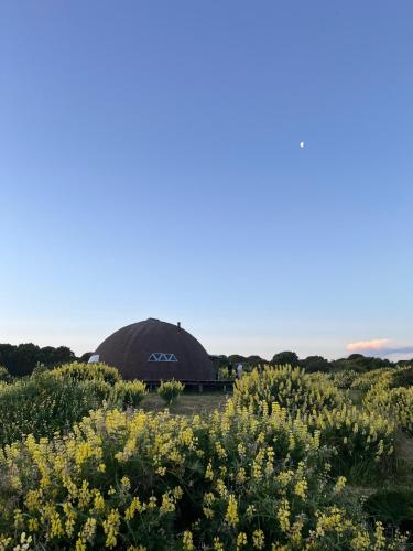 a yurt in the middle of a field of flowers at Domo cucao in Chonchi