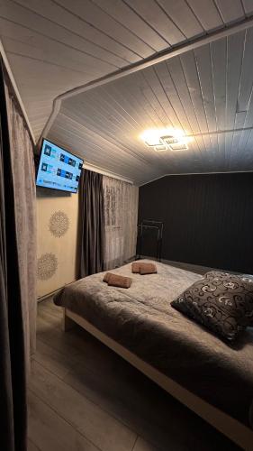 a bedroom with a bed with a tv on the wall at Cottage Zhelikhovskykh in Tatariv