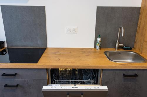 La cuisine est équipée d'un évier et d'un comptoir avec évier. dans l'établissement Belle Maison Nancy avec 3 chambres individuelles, à Nancy