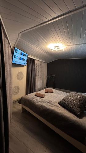 a bedroom with a bed with a tv on the ceiling at Cottage Zhelikhovskykh in Tatariv