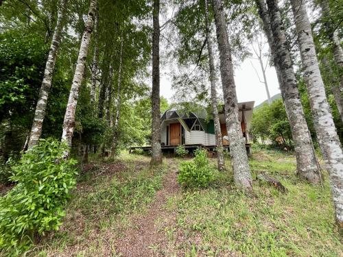 a house in the middle of a forest with trees at Domo Huepil in Pichare