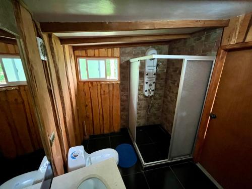 a small bathroom with a shower and a toilet at Domo Huepil in Pichare