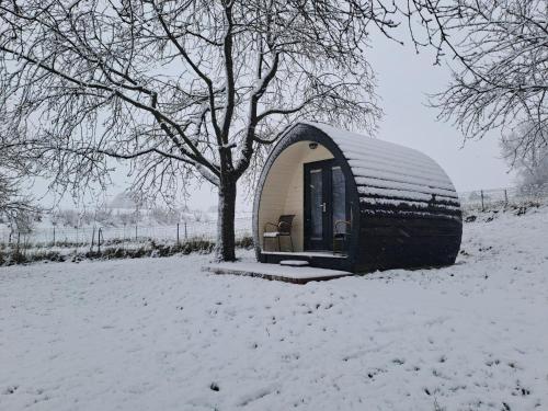 a small dome house in a snow covered field at B&B Uit de Kunst APPEL in Bingelrade