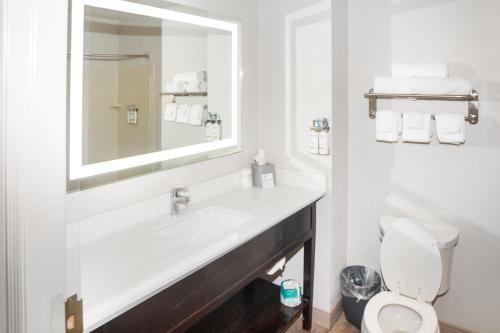 Koupelna v ubytování Holiday Inn Express and Suites Stroudsburg-Poconos by IHG