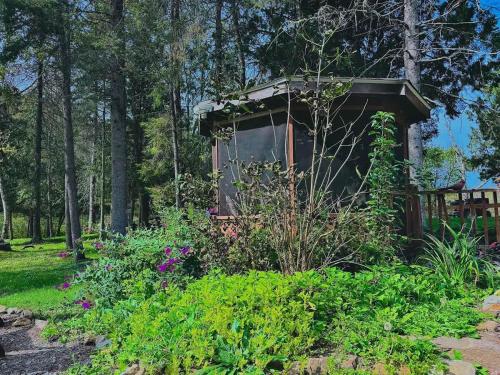 Сад в Chalet du Ruisseau Enjoy nature all year long