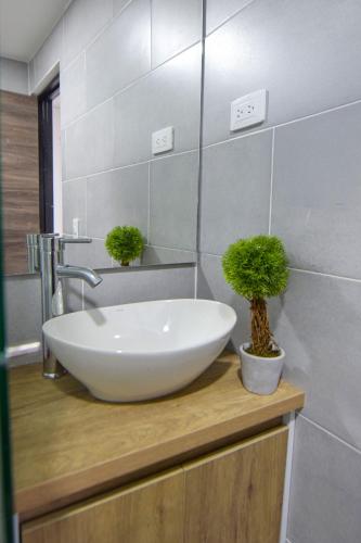 a bathroom with a white sink and two potted plants at Hotel Fuente Real Popayán in Popayan