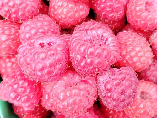 a pile of pink raspberries sitting next to each other at Los Cipreses in Ancagual