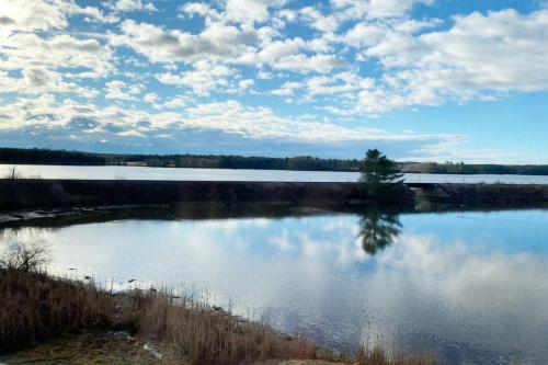 a lake with a tree in the middle of it at Peaceful Oasis by the Great Salt Bay 3BR 2Ba in Newcastle