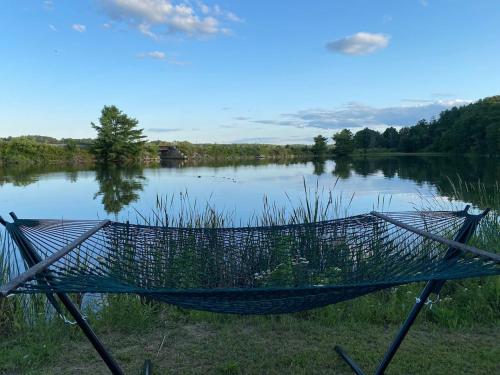 a hammock sitting in front of a lake at Peaceful Oasis by the Great Salt Bay 3BR 2Ba in Newcastle