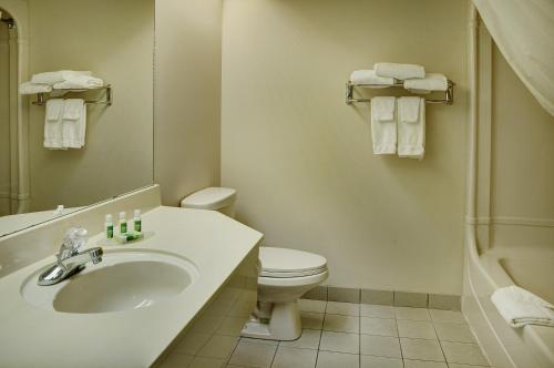 a bathroom with a sink and a toilet and a shower at Lakeview Inns & Suites - Brandon in Brandon