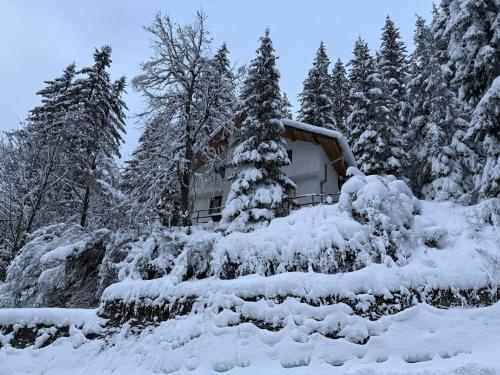 Villa Gusto, 3km from Pamporovo trong mùa đông