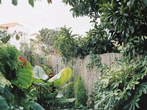 Apartment with Private Garden