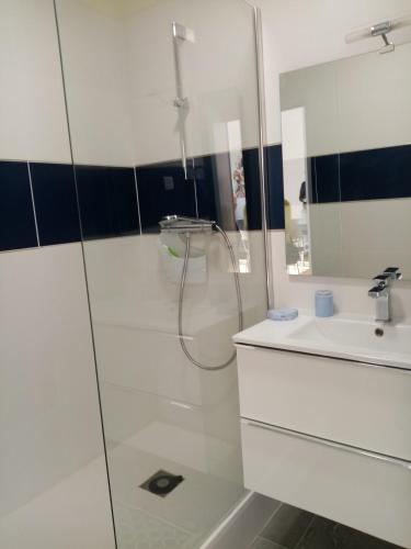 une salle de bain blanche avec une douche et un lavabo dans l'établissement Aix centre charmant T2 climatisé parc jourdan, à Aix-en-Provence