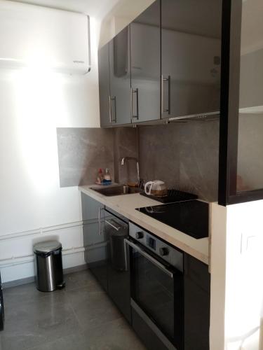 une cuisine avec un évier et une cuisinière four supérieur dans l'établissement Aix centre charmant T2 climatisé parc jourdan, à Aix-en-Provence