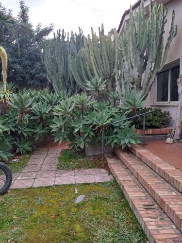 a row of plants in front of a house at Villa Colle in Brancaleone Marina
