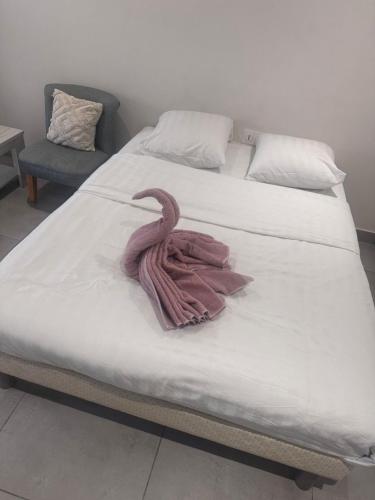 Studio en centre ville