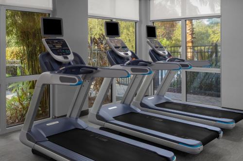 a row of treadmills in a gym with windows at Courtyard by Marriott Orlando South/Grande Lakes Area in Orlando