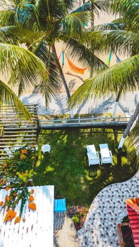 an overhead view of a lawn with chairs and palm trees at Pousada Fenícia in Japaratinga