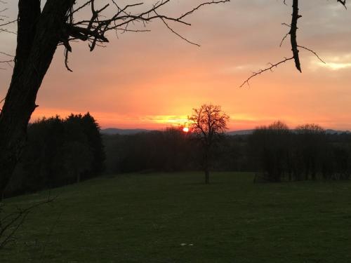 a sunset in a field with a tree in the foreground at Ferme de Filot 3 in Hamoir