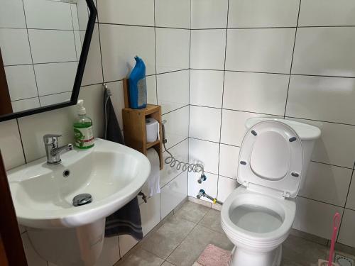 a bathroom with a white toilet and a sink at David Crater Homestay in Lushoto