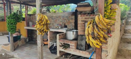 a bunch of bunches of bananas hanging from a building at Cabaña Campestre San Fernando in Albán