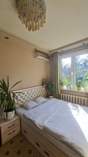 En eller flere senge i et værelse på Cozy home