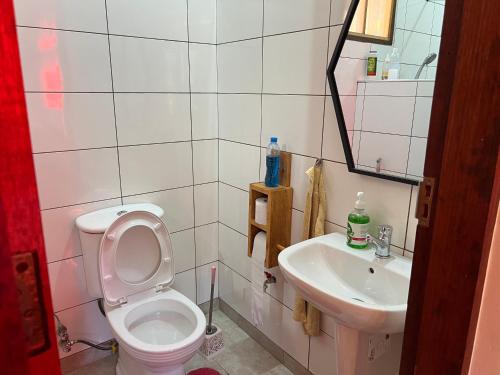 a bathroom with a toilet and a sink at David Crater Homestay in Lushoto