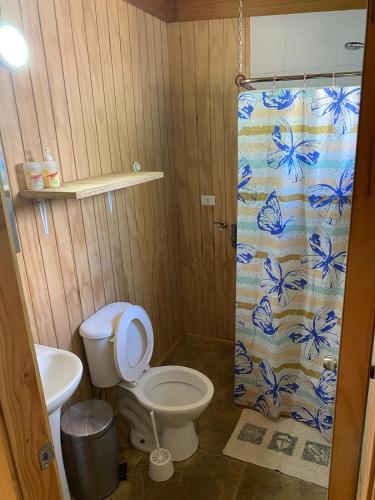 a bathroom with a toilet and a shower curtain at Cabaña M&R 2 in Lago Ranco