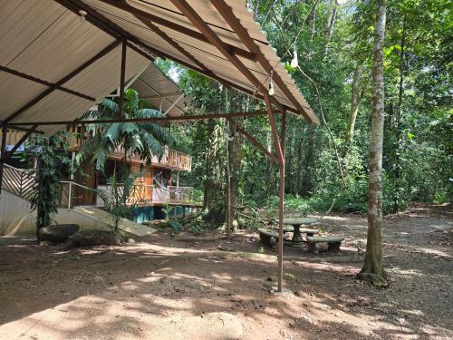 Un jardín fuera de Cool Waters Jungle Hostel