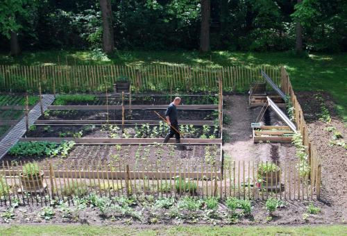 a man walking through a garden with plants at Bitter en Zoet in Veenhuizen