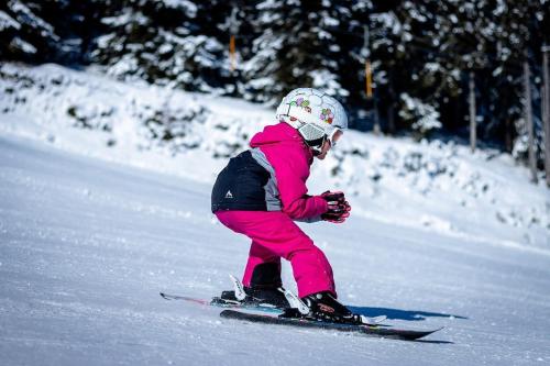 Ski di apartmen atau berdekatan