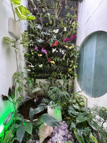 a garden with flowers and plants on the side of a building at La Reserve Villa Tropicana in Pipa