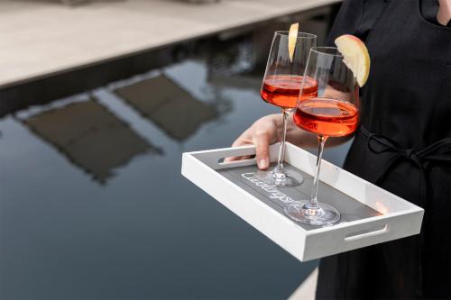 a woman holding a tray with two glasses of wine at Michlhaus nature and suites in Aldino