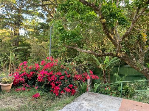 Giardino di Globi Lodge #6