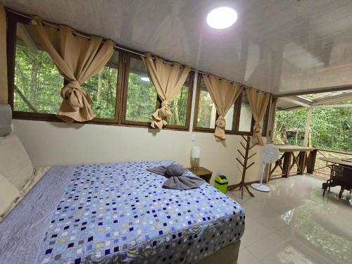 Una cama o camas en una habitación de Cool Waters Jungle Hostel