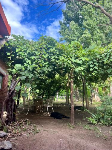 Vườn quanh Bendecida Depto