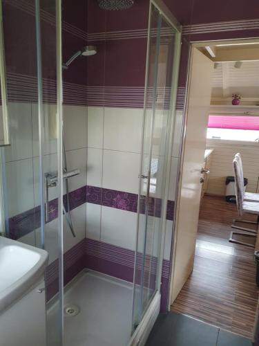una ducha con puerta de cristal en un baño en Spa Cottage Lavender in Terme Čatež, en Čatež ob Savi