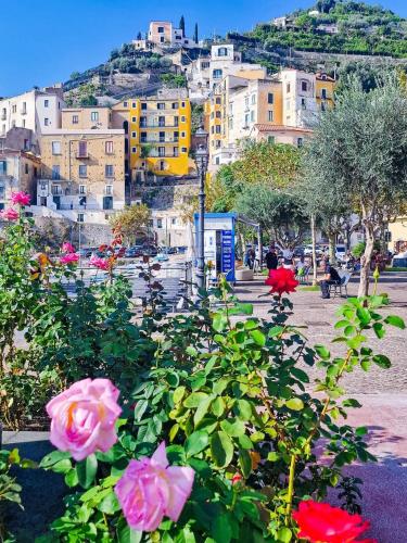 a view of a city with pink roses and buildings at Mela & Cannella accommodation in Minori