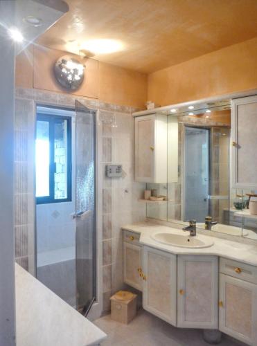 une salle de bain avec une douche, un lavabo et un miroir dans l'établissement Villa panoramique avec vue mer et montagne à Corbara, à Corbara