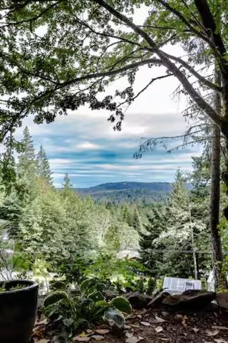 a view of a forest with two chairs in the trees at Sungate on Salt Spring - Luxurious Suite with Cedar Hot Tub & View in Salt Spring Island
