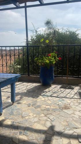 a blue vase with flowers sitting on a patio at Riad Targante Takate 2 in Takkat